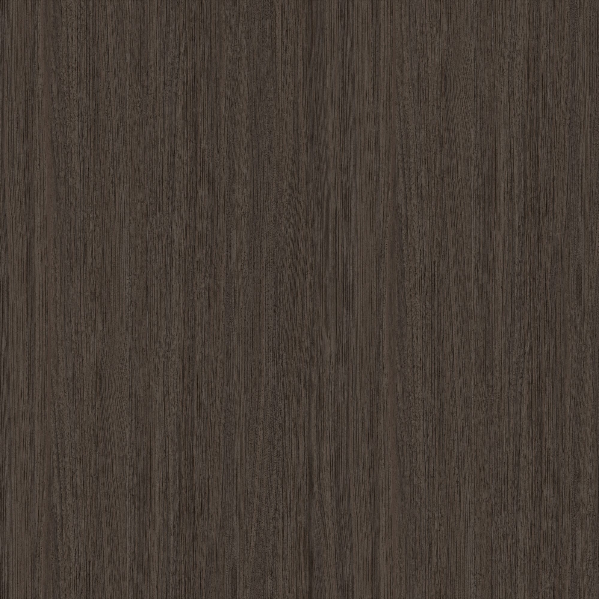 現(xiàn)代深胡桃